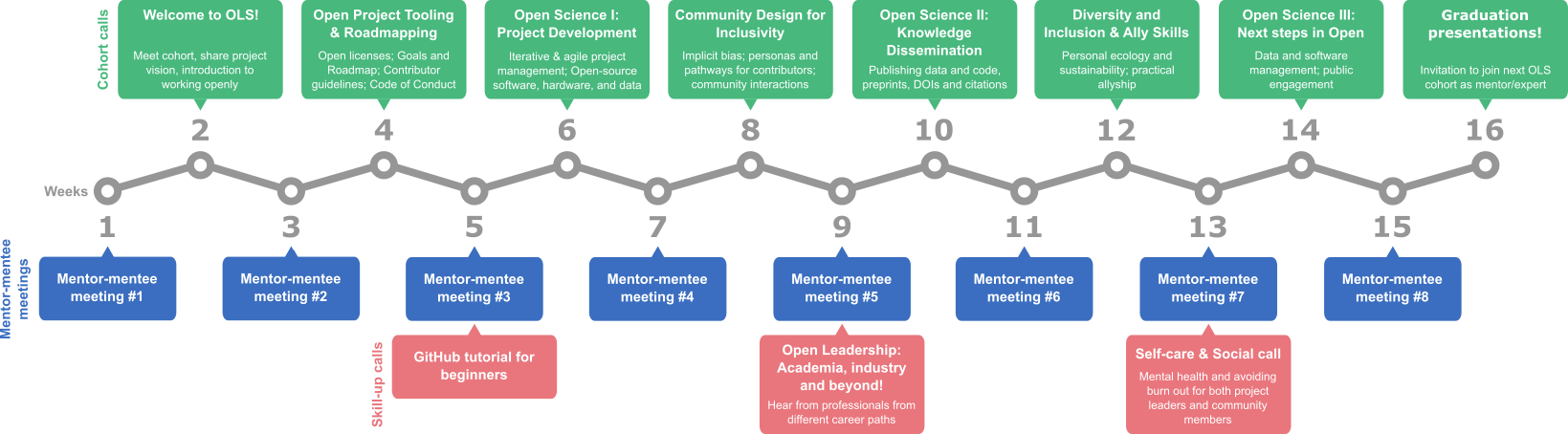 OLS schedule overview. In the middle, the timeline represents the 16 weeks. On the top, boxes in green represent the 8 different cohort calls pointing to the corresponding weeks (even week numbers). Below the week timeline, blue boxes represent the mentor-mentee meetings pointing to the uneven number weeks. Below the blue boxes, are red boxes corresponding to 3 skill-up calls: "GitHub tutorial for beginners" (week 5), "Open Leadership: Academia, industry, and beyond" (week 9), "Self-care & social call" (week 1s)